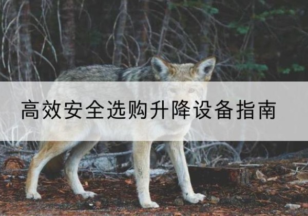 清徐升降货梯厂家推荐-*安全选购升降设备指南