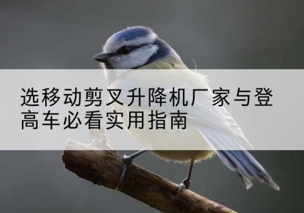 清徐电动升降机厂家-选移动剪叉升降机厂家与登高车必看实用指南
